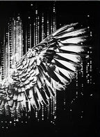 Black And Gold Angel Fine Wing Canvas Painting Wall Art Poster