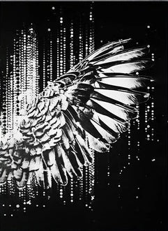 Black And Gold Angel Fine Wing Canvas Painting Wall Art Poster