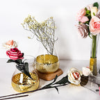 Ins Style Golden Electroplated Honeycomb Glass Vase