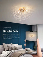 Lamp In The Living Room Dandelion Crystal Chandelier