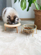 Cat bowl pet bowl